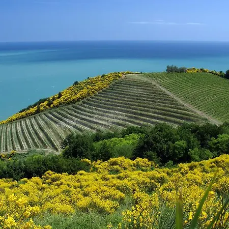 San Nicola * Pesaro