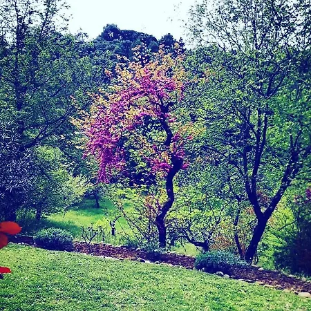 Casa di campagna San Nicola *